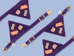 French Bandit Bandana Chat Merry Blue Discount