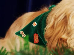 French Bandit Bandana Jolly Green Shop