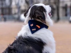French Bandit Bandana Merry Blue Online