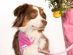 French Bandit Bandana Venice Pink Clearance