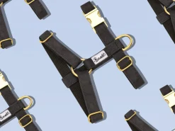 French Bandit Band'In Black Sale