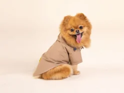 French Bandit Bandit X Flotte 2023 - L'Impermeable Fashion