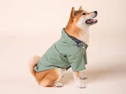 French Bandit Bandit X Flotte 2023 - L'Impermeable Fashion