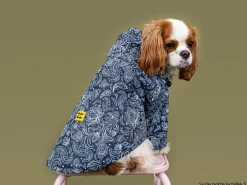 French Bandit Bandit X Flotte - L'Impermeable Store