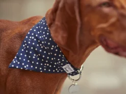 French Bandit Bonpoint Bandit - Bleu Best