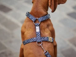 French Bandit Bonpoint Bandit - Bleu Best