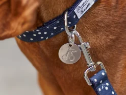 French Bandit Bonpoint Bandit - La Medaille Store