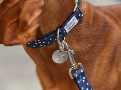 French Bandit Bonpoint Bandit - La Medaille Store