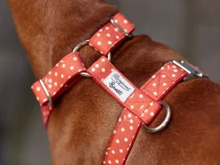 French Bandit Bonpoint Bandit - Rouge Best