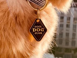 French Bandit Dog'S Club Cheap
