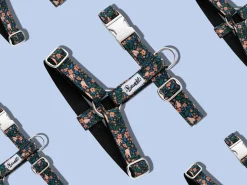 French Bandit Flower Pawer Flash Sale