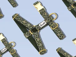 French Bandit Green Beast Flash Sale