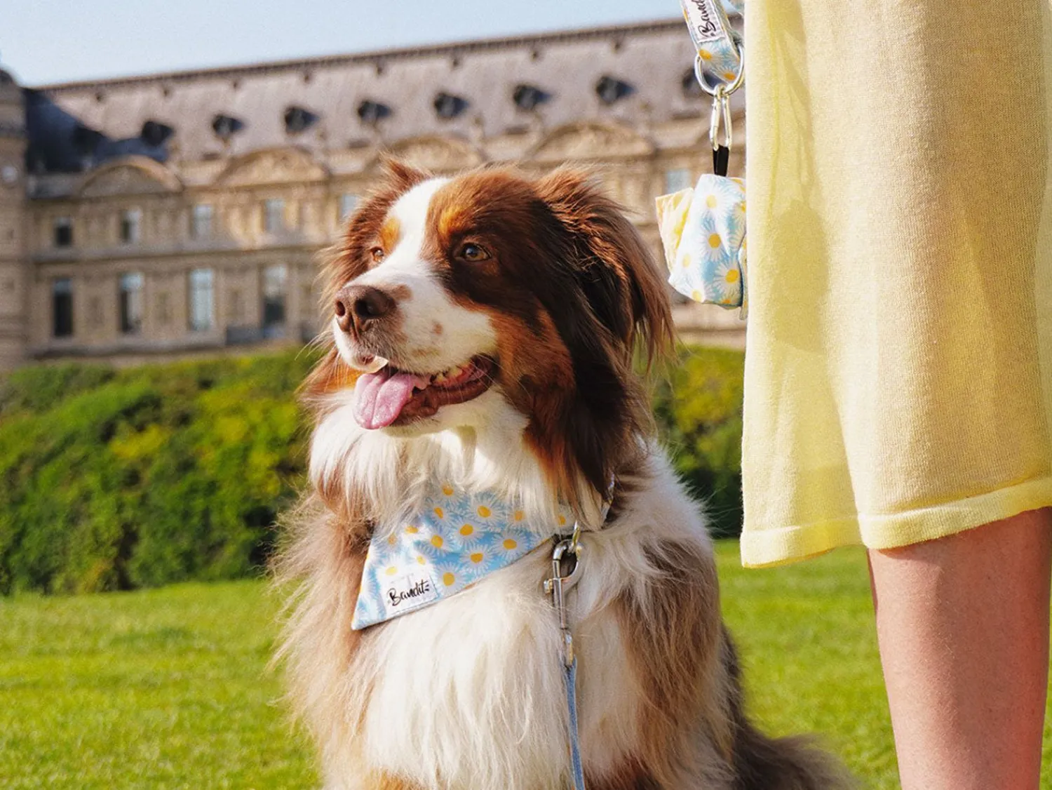 French Bandit Happy Daisy Flash Sale