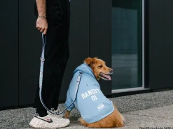 French Bandit Hoodie De Sport - Argentine New