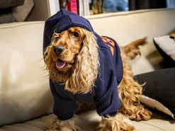 French Bandit Hoodie Le Brach X Bandit Fashion