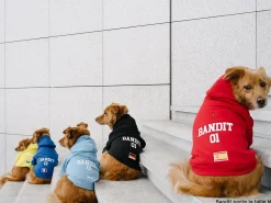French Bandit Hoodies De Sport Online