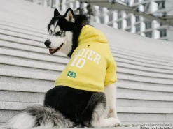 French Bandit Hoodies De Sport Online