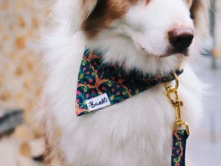 French Bandit Kit Balade Bandana Shop
