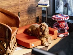 French Bandit La Housse, Le Brach X Bandit Discount