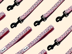 French Bandit La Vie En Rose Best