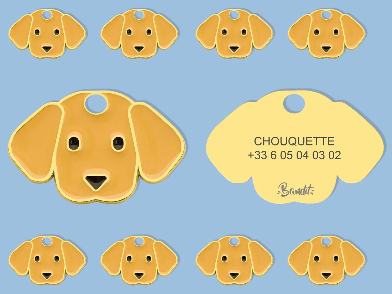 French Bandit Labradoudou Best