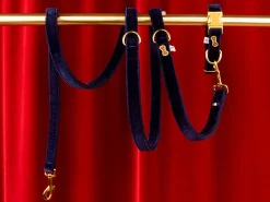 French Bandit Laisse Merry Blue Best Sale