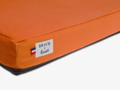 French Bandit Le Brach X Bandit Clearance