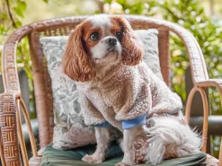 French Bandit Le Hoodie Doux Discount