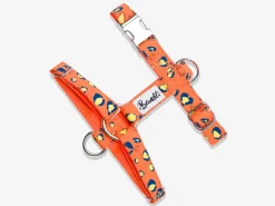 French Bandit Neon Jungle Outlet