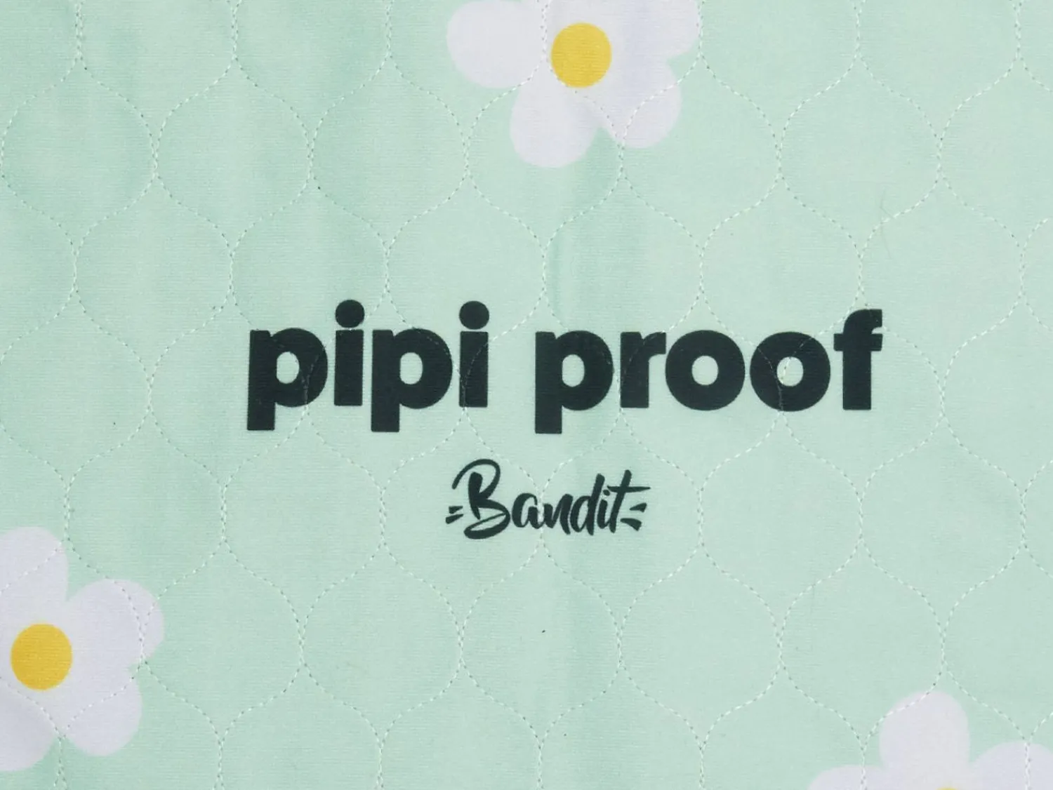 French Bandit Pipi Proof Best