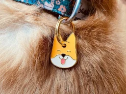 French Bandit Shiba Chou Sale