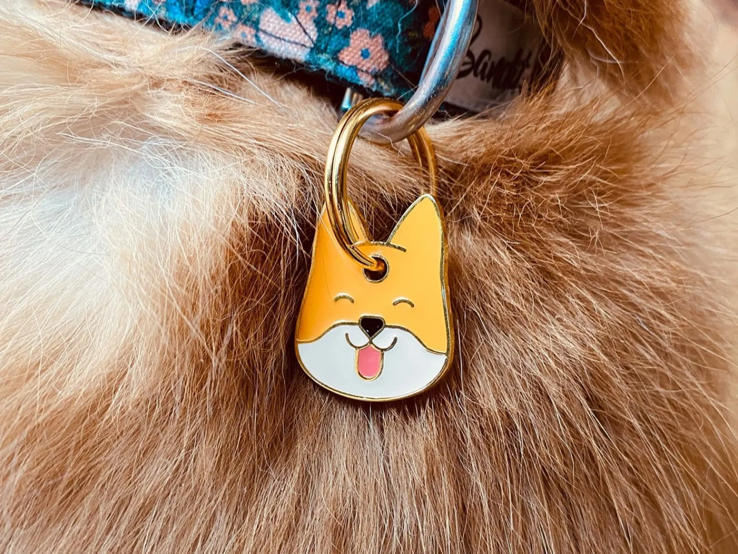 French Bandit Shiba Chou Sale