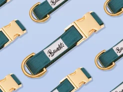 French Bandit So Green Chic Store