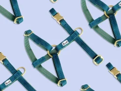 French Bandit So Green Chic Online
