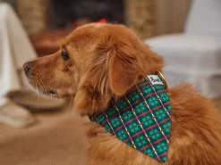 French Bandit Tartan Vert Outlet
