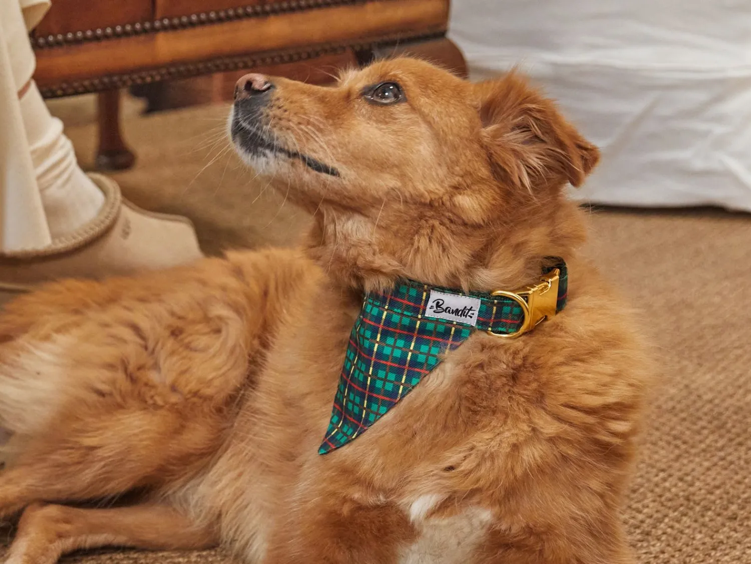 French Bandit Tartan Vert Outlet