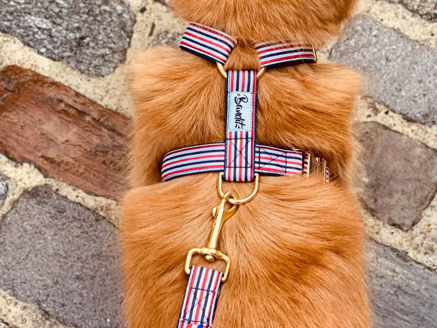 French Bandit The French Banban Flash Sale