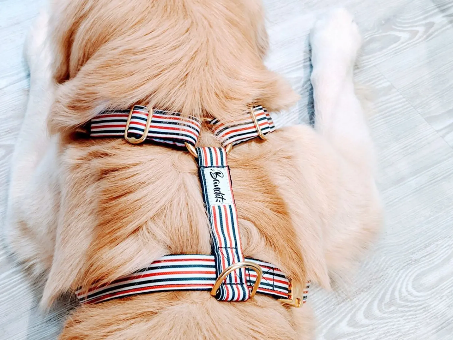French Bandit The French Banban Flash Sale
