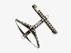 French Bandit Veni Vidi Vichy Cheap